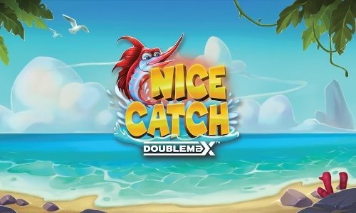 Cлот Nice Catch